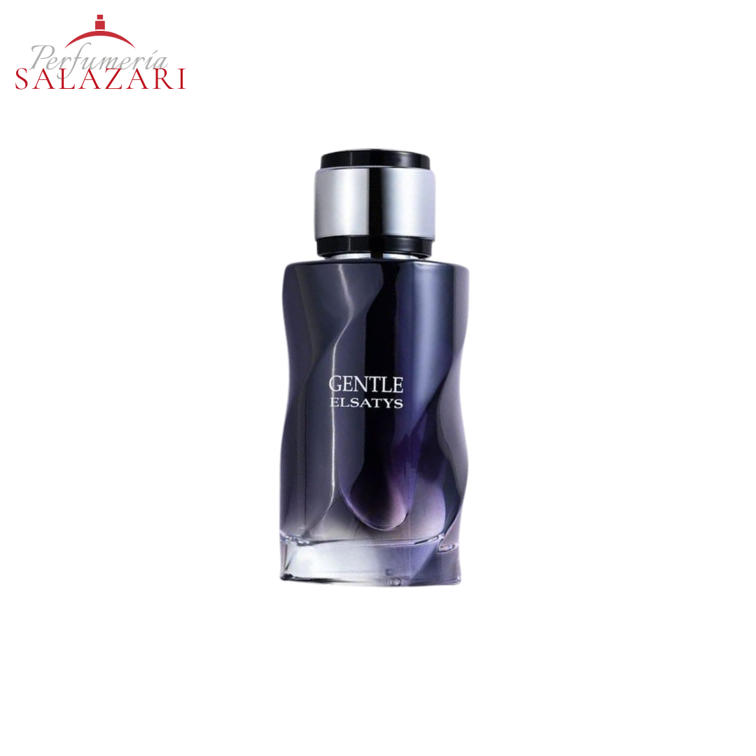 REYANE TRADITION - GENTLE ELSATYS EDP HOMBRE